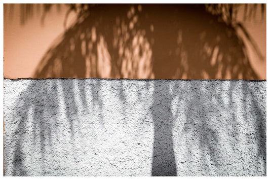 Other Ideas Fine Art Print Colour Palm Tree Shadow photograph